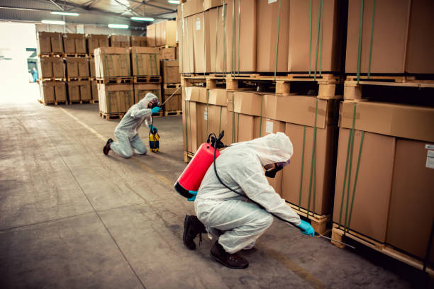 Best Pest Inspection Near Me  in East Jordan, MI