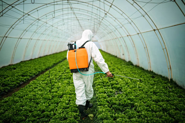 Best Residential Pest Control  in East Jordan, MI