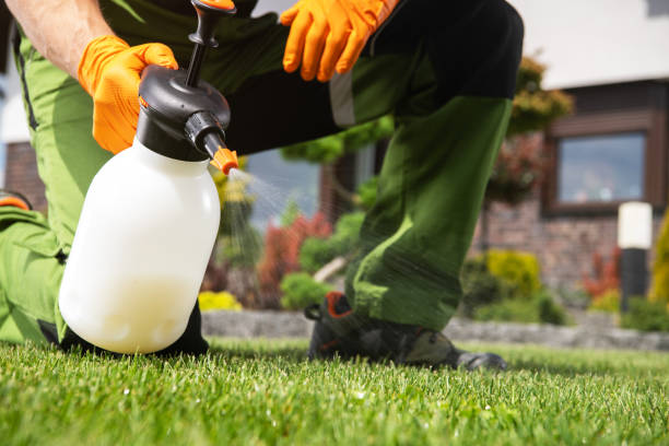 Best Pest Prevention Services  in East Jordan, MI