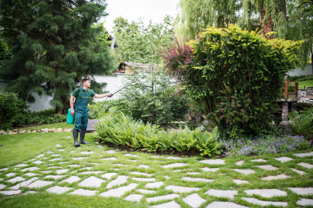 Best Exterminator Services  in East Jordan, MI