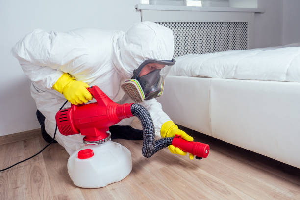 Best Wasp Removal Services  in East Jordan, MI