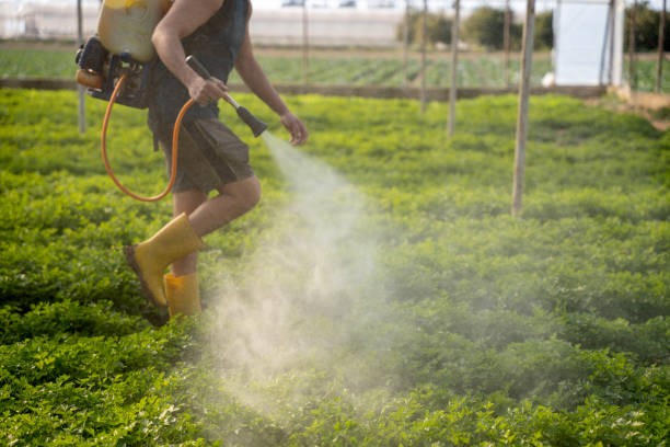 Best Residential Pest Control  in East Jordan, MI