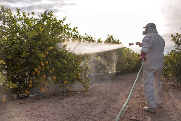 Best Affordable Pest Control Services  in East Jordan, MI