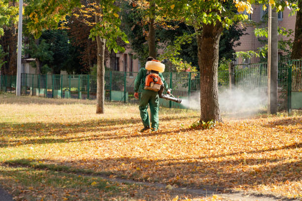 Best Mosquito Control Services  in East Jordan, MI