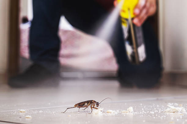 Best Best Pest Control Companies  in East Jordan, MI