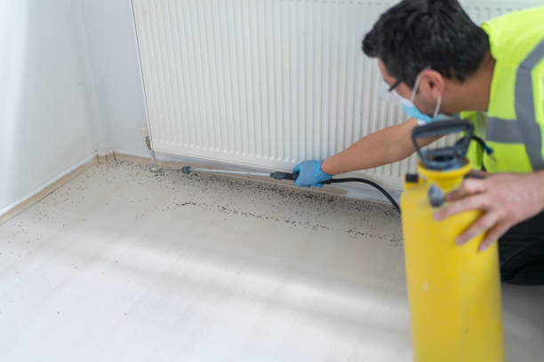 Best Wasp Removal Services  in East Jordan, MI
